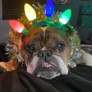 Meet your Posher, Craig